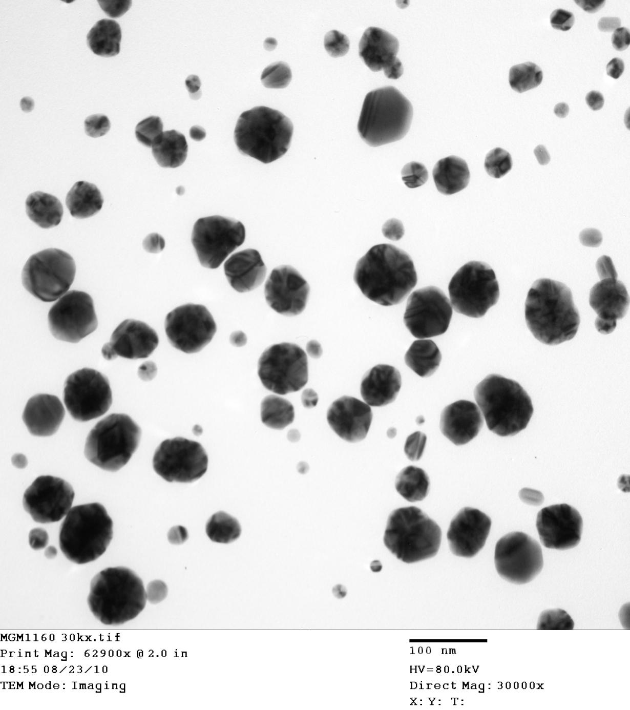 silver nanoparticles NISE Network